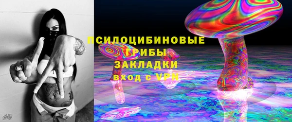 шишки Балабаново