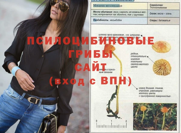 шишки Балабаново