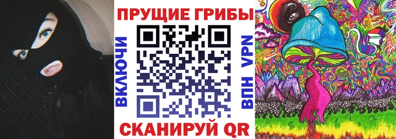 Псилоцибиновые грибы мухоморы  kraken ONION  Георгиевск  где купить  